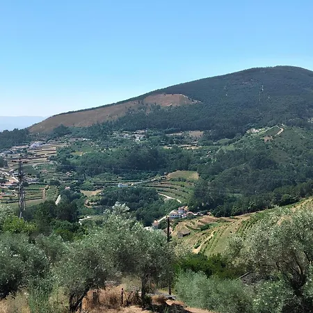 Do Rojao Do Meio Mesão Frio