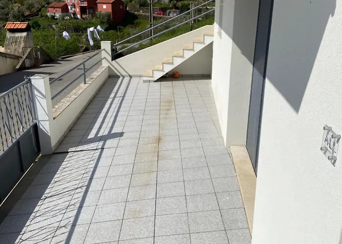 Do Rojao Do Meio Mesão Frio