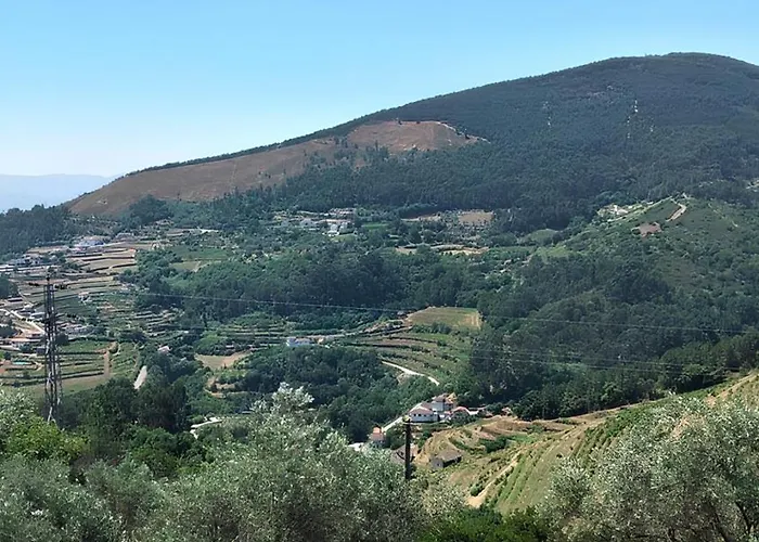 Do Rojao Do Meio Mesão Frio